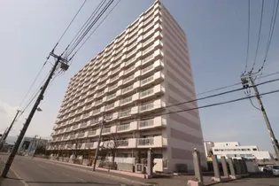 ベルフラワー八軒マンションの画像