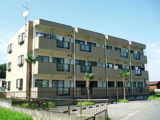 大手下コープ木屋の画像