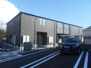 プリムローズAの画像