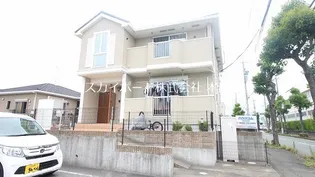 フォルシュの画像