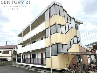 ホワイトハイツの画像