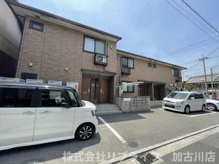 サニーヒルIIの画像