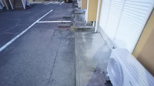 エステート阿倉川B棟【1階】の内装