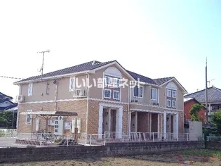 ローズマリーの画像