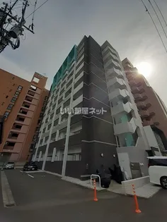 エトワールフィラントの画像