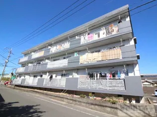 あいらんど檍の画像