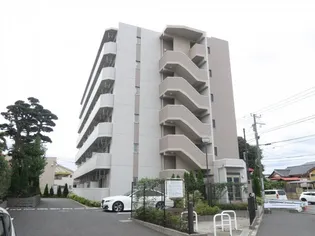 サンライズコードの画像