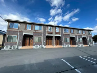 ボニートの画像