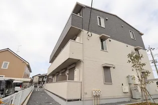 AMALFIの画像
