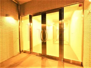 エーデルワイスの画像