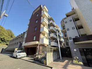 ドムス セラシィの画像