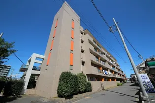 パルスメジャーの画像
