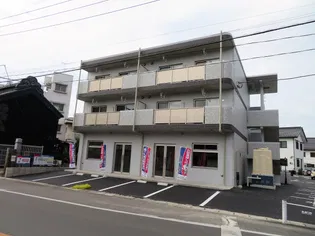 Y&Mプログレスの画像