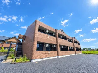 PUREDREAMの画像