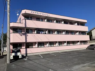 埼玉県本庄市南1【アパート】の外観