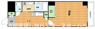 フリーディオ天の川【3階】の間取り
