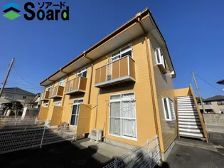 バンブーインの画像