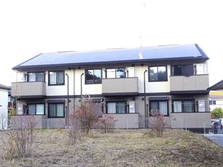 シャイニースカイコートの画像