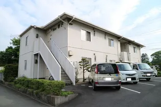 タウニィ樹 Bの画像