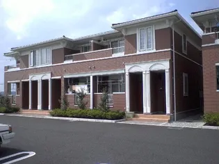 サンフラワーAの画像