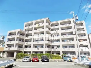 エル パティオの画像