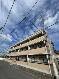 グランパレの画像