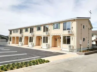 ライムIIの画像