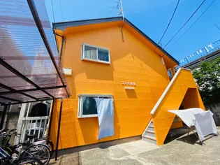 コスモ羽衣の画像