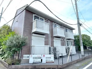 オアシスの画像