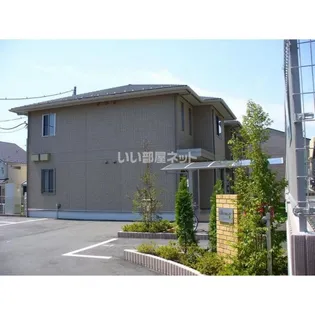 アムールの画像