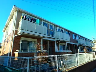 ピュアIIの画像