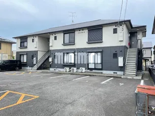 パインツリー5の画像