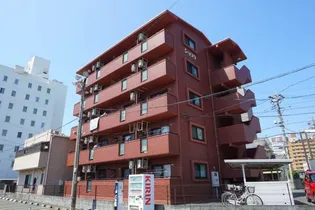 ショコラの画像