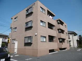 プリムヴェールの画像