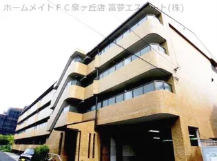 ギャレ金剛の画像