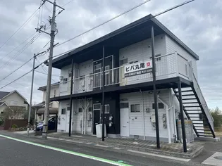 ビバ丸尾の画像