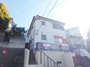 サンホワイトの画像