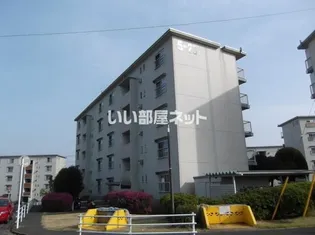 高津団地6街区2号棟の画像