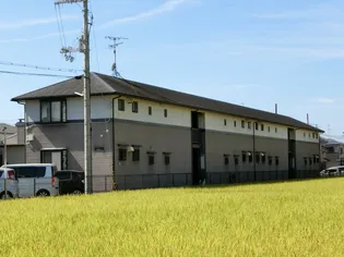 デイスターNの画像