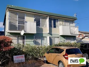 エバーグリーンの画像