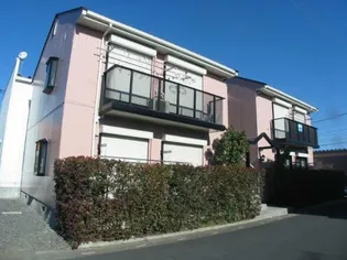 パインデールBの画像