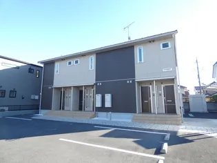 ルピナスの画像