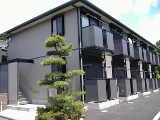 セントラルパインIIの画像