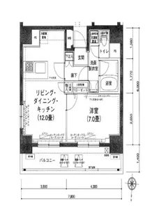 アイルイムーブル錦糸町【6階】の間取り