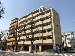 ロマネスクステーションプラザ西鹿児島 203号【2階】の外観