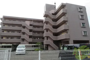 アイーラ渡辺の画像