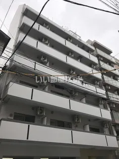 ブルーム桜の画像