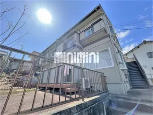 ハミングバードの画像