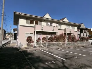 プリティ ベアーBの画像