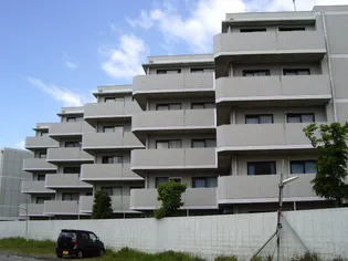 ラ パルフェ ド ファシリテの画像